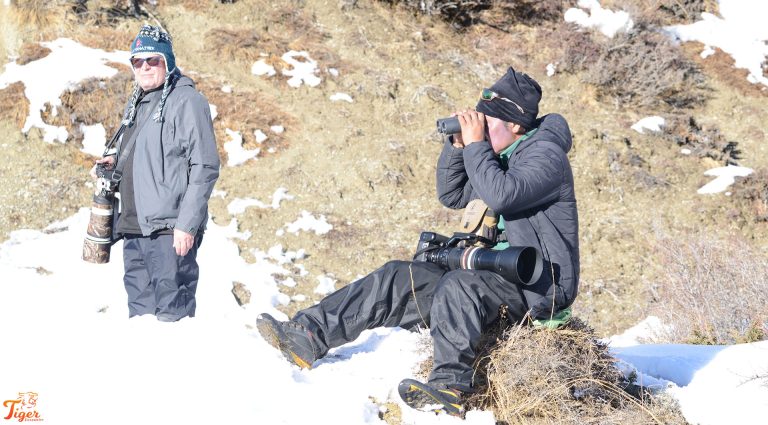 Scanning the snow leopard trails