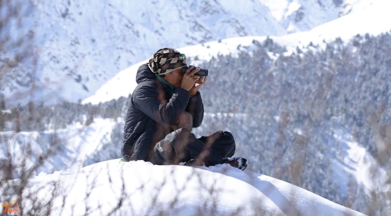 Tashi R Ghale snow leopard expert
