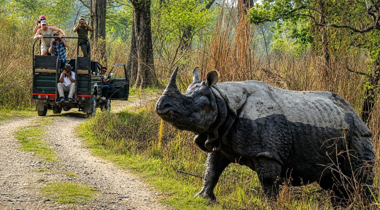 Wildlife Photography in Nepal