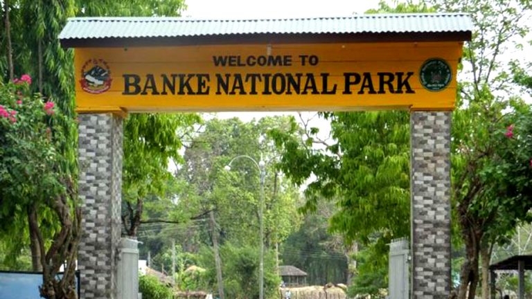 Banke National Park