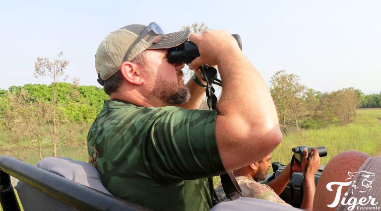 Tracking-Tiger in Chitwan