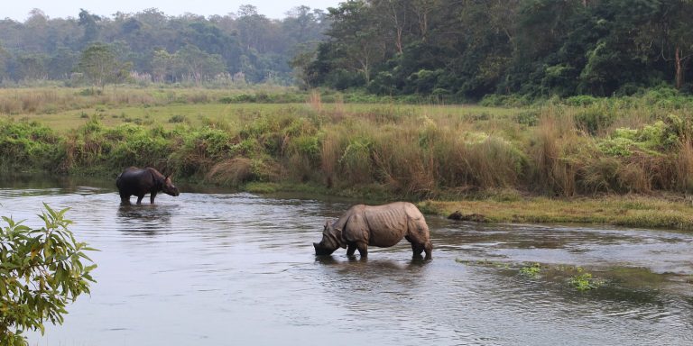 Chitwan National Park