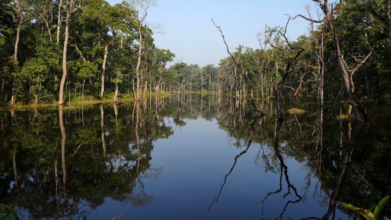 Top 10 things to do in protected areas of Nepal