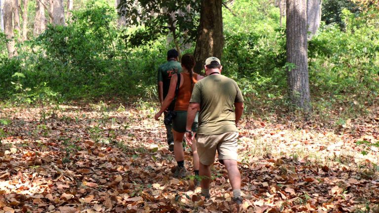 Jungle Safari in Bardiya National Park