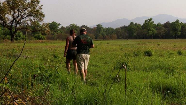 Chitwan or Bardia National Park