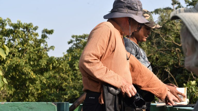 Wildlife research, volunteer work, and tiger conservation program in Nepal