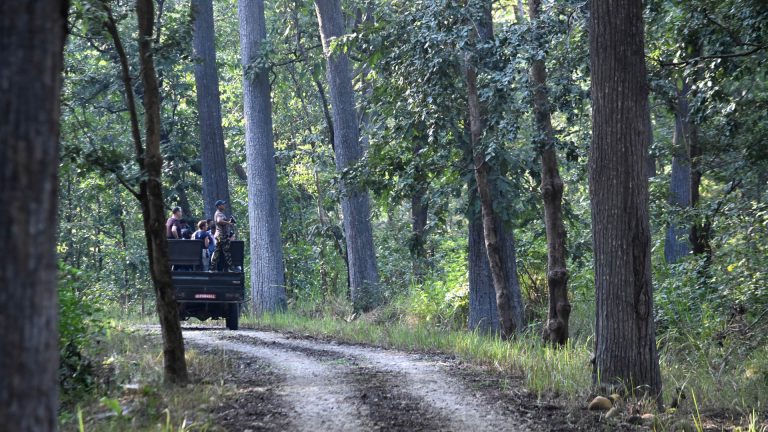 Bardia: Best for Wilderness Wildlife Wanders