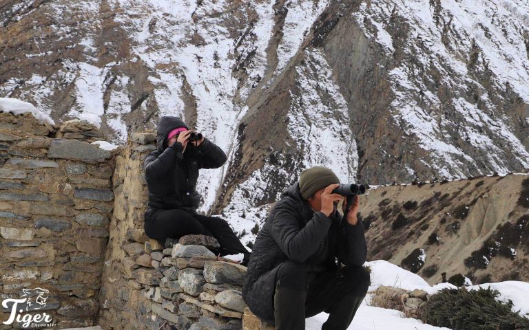 Can I see Snow Leopard in Nepal?