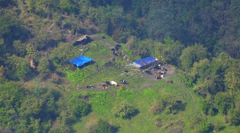 Yak cowshed in Langtang