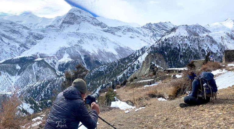 Wait and watch during snow leopard tracking