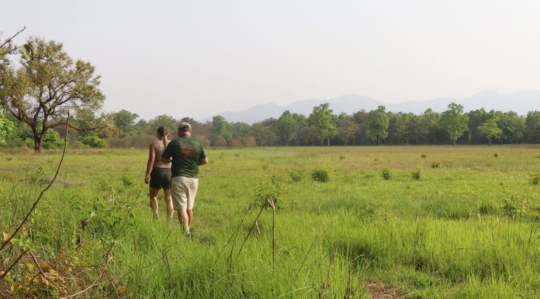 Waling Safari in Bardia