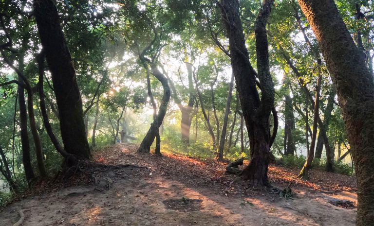 Gokarn Forest Walk