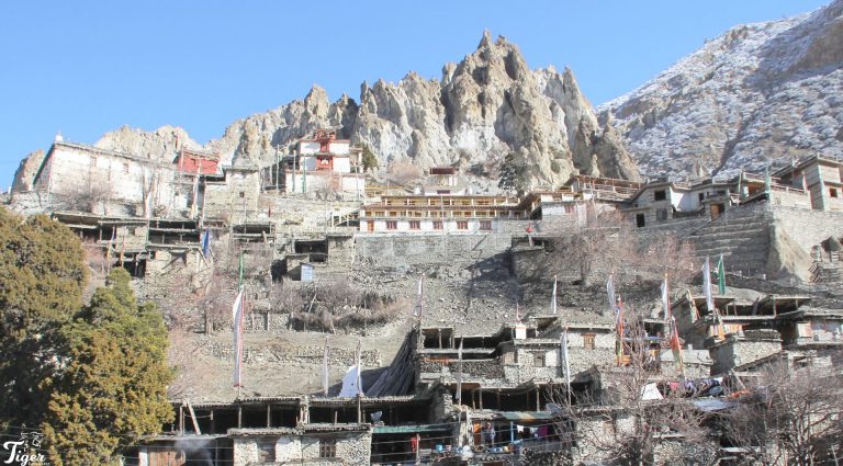Braka Village