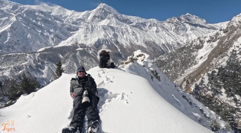 Scanning snow leopard territory