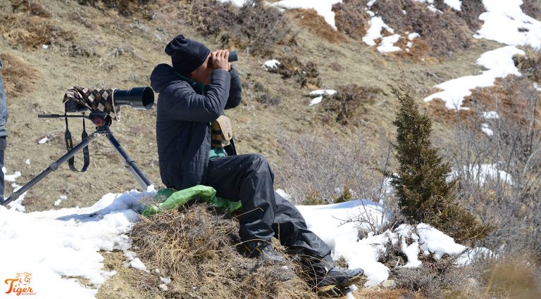 Searching for snow leopard in Nepal