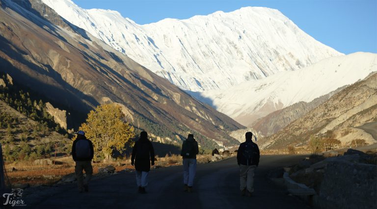 Towards the Snow Leopard Habitats