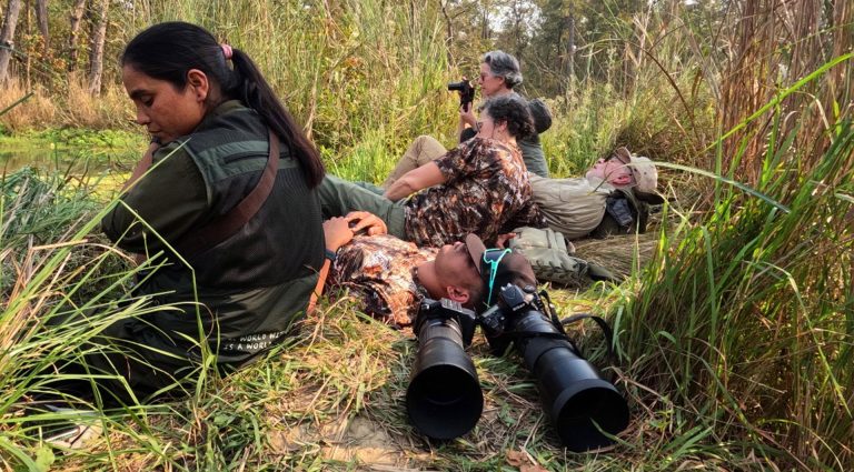 rest and wait during bardia tiger safari
