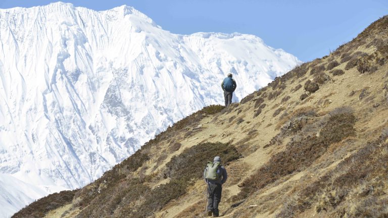 snow leopard tracking walk