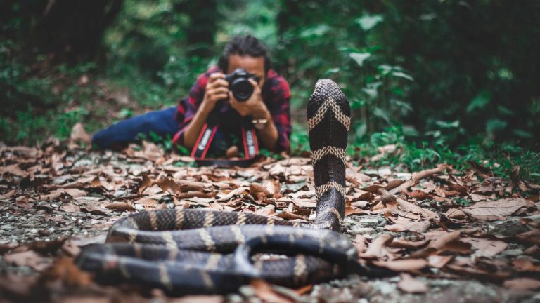 Snake & Herping Expedition in Nepal