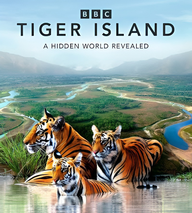 Tiger Island