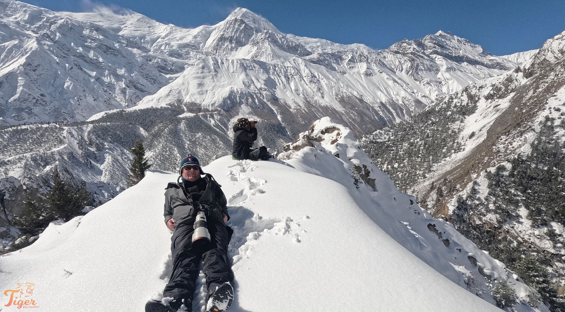 How to track and photograph snow leopards in Nepal