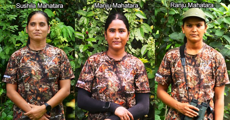 Tiger Tracking in Nepal with Expert Naturalists