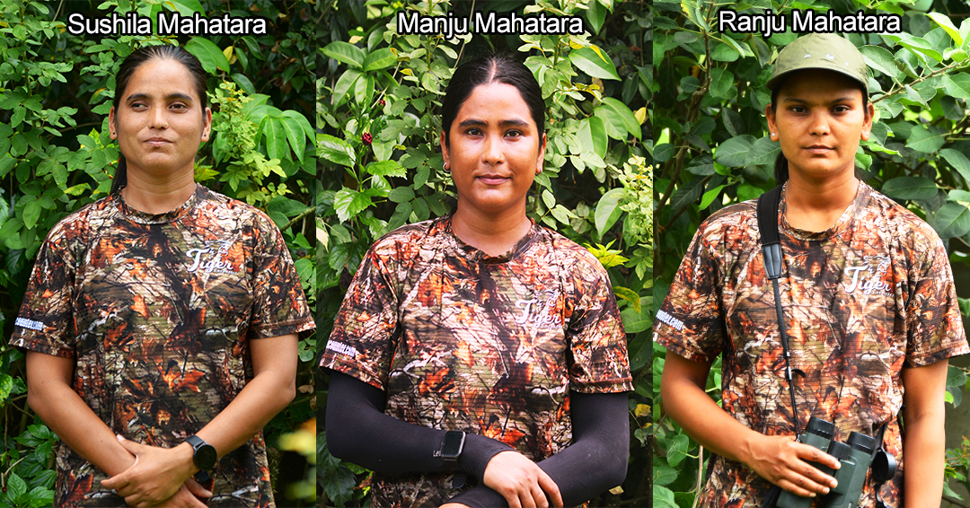 Tiger Tracking in Nepal with Expert Naturalists
