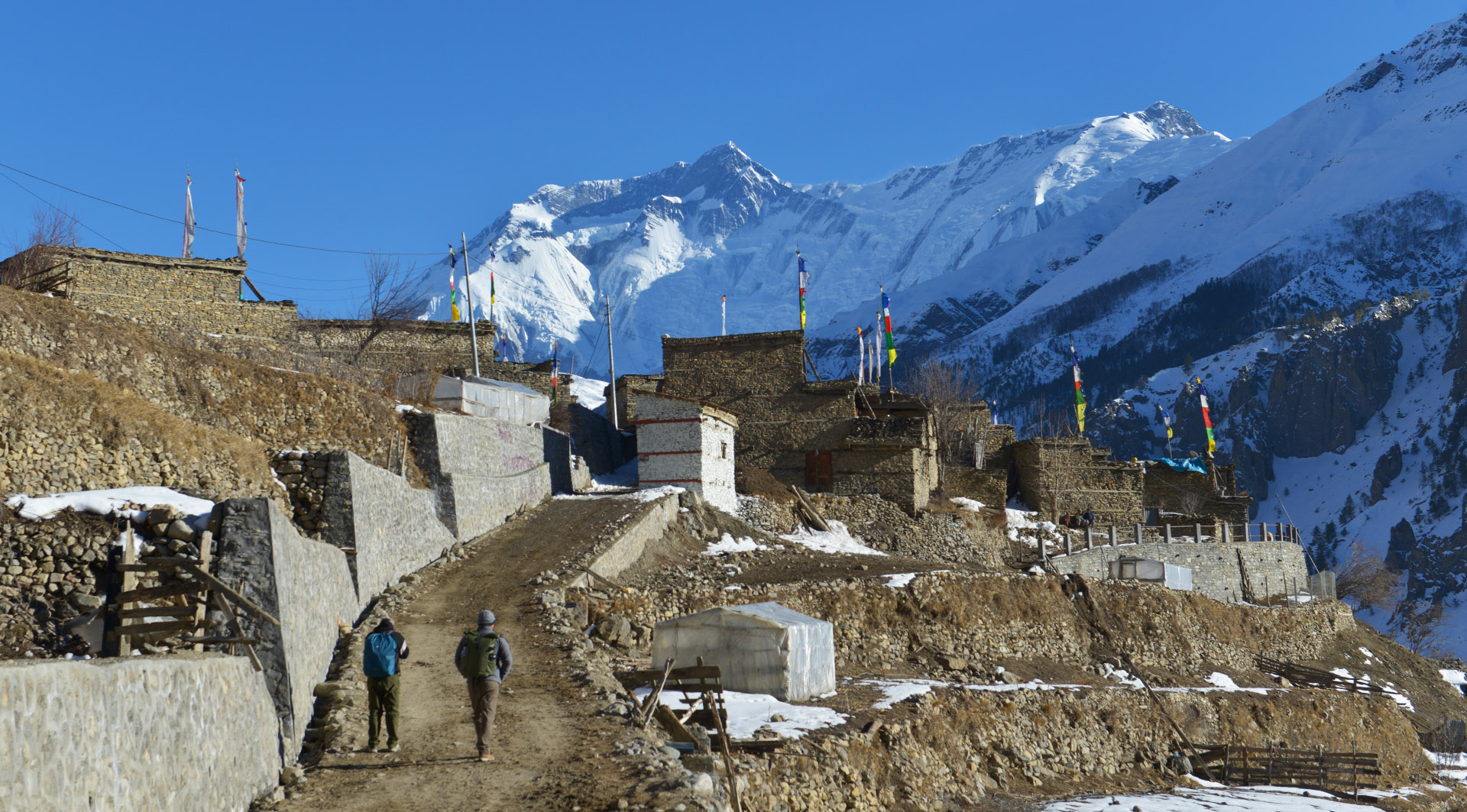 snow leopard tracking in Manang